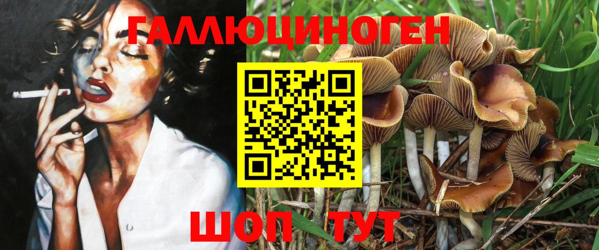 Меф Ижевск